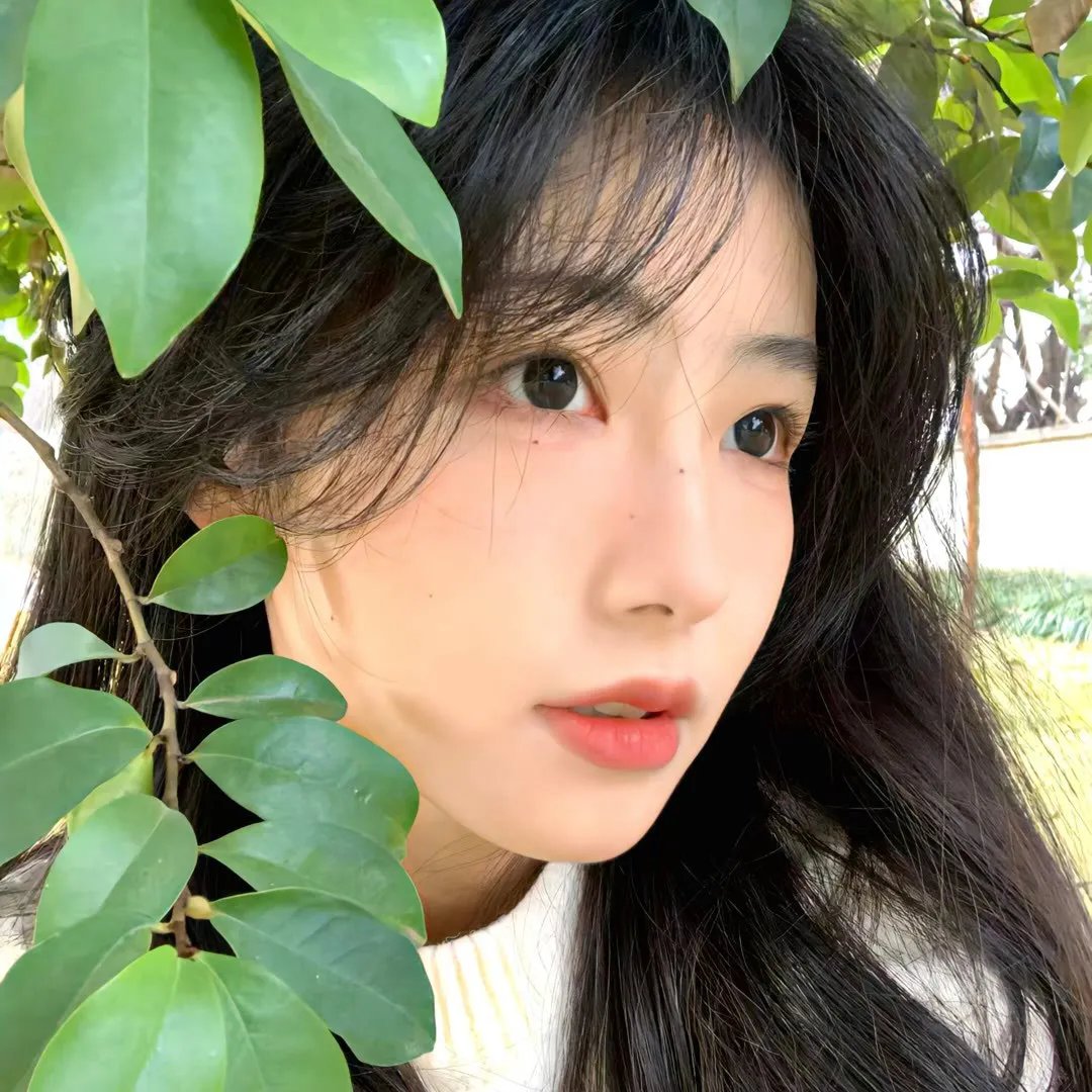 小王子说......